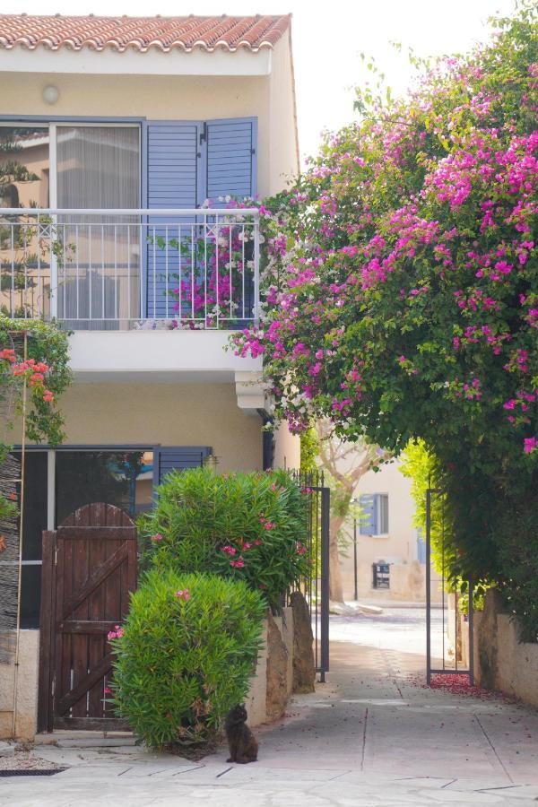 Rachel Suite By The Pool Paphos Exterior photo